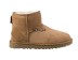Женские мини угги Classic Mini Chestnut II