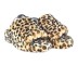 Женские сандалии Ugg Fluff Yeah Slide Leopard