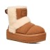 Женские угги Classic Chillapeak - Chestnut