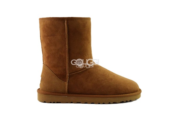 Женские короткие угги Classic Short Chestnut