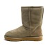 Женские короткие угги Ugg Classic Short Beige